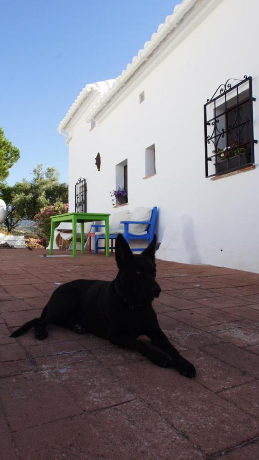 Casa Del Cielo Διαμέρισμα Frigiliana Εξωτερικό φωτογραφία