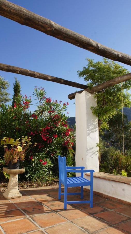Casa Del Cielo Διαμέρισμα Frigiliana Εξωτερικό φωτογραφία