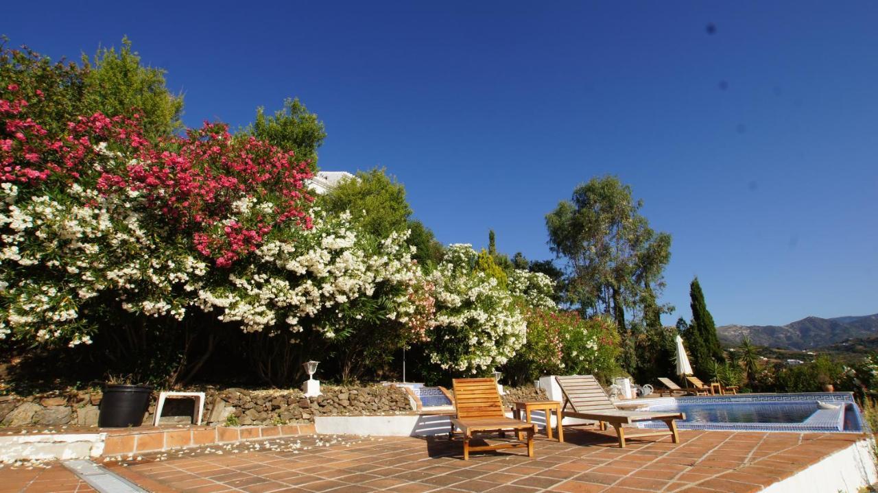 Casa Del Cielo Διαμέρισμα Frigiliana Εξωτερικό φωτογραφία