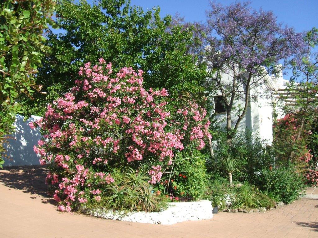 Casa Del Cielo Διαμέρισμα Frigiliana Εξωτερικό φωτογραφία